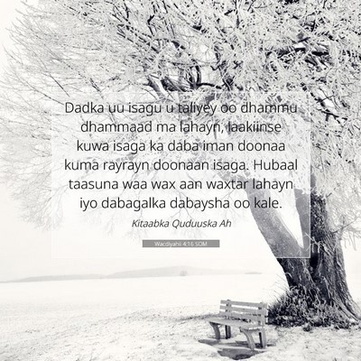Picture 07 - Wacdiyahii 4:16 SOM - Dadka uu isagu u taliyey oo dhammu dhammaad ma - Bible Verse Picture