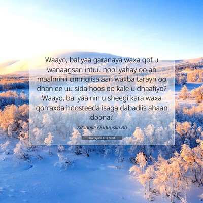 Picture 07 - Wacdiyahii 6:12 SOM - Waayo, bal yaa garanaya waxa qof u wanaagsan - Bible Verse Picture