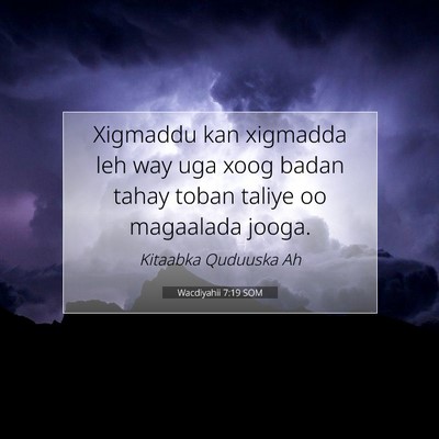 Picture 07 - Wacdiyahii 7:19 SOM - Xigmaddu kan xigmadda leh way uga xoog badan - Bible Verse Picture