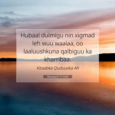 Picture 07 - Wacdiyahii 7:7 SOM - Hubaal dulmigu nin xigmad leh wuu waalaa, oo - Bible Verse Picture