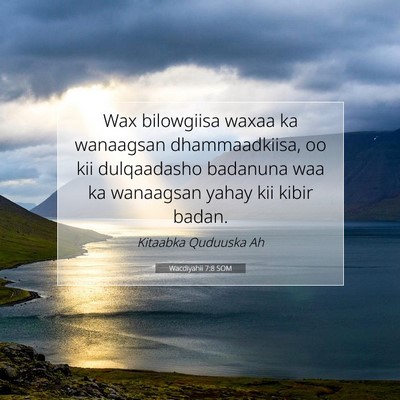Picture 07 - Wacdiyahii 7:8 SOM - Wax bilowgiisa waxaa ka wanaagsan dhammaadkiisa, - Bible Verse Picture
