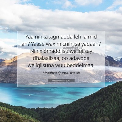 Picture 07 - Wacdiyahii 8:1 SOM - Yaa ninka xigmadda leh la mid ah? Yaase wax - Bible Verse Picture