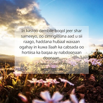 Picture 07 - Wacdiyahii 8:12 SOM - In kastoo dembile boqol jeer shar sameeyo, oo - Bible Verse Picture