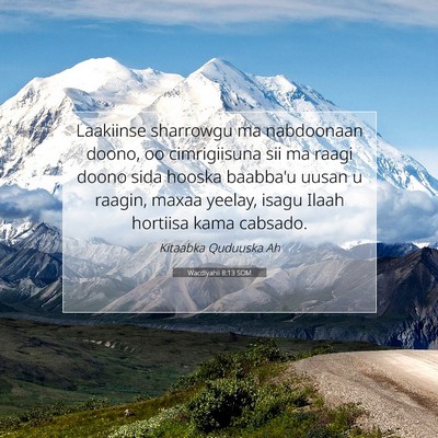 Picture 07 - Wacdiyahii 8:13 SOM - Laakiinse sharrowgu ma nabdoonaan doono, oo - Bible Verse Picture
