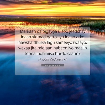 Picture 07 - Wacdiyahii 8:16 SOM - Markaan qalbigayga u soo jeedshay inaan xigmad - Bible Verse Picture