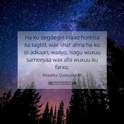 Picture 07 - Wacdiyahii 8:3 SOM - Ha ku degdegin inaad hortiisa ka tagtid, wax shar - Bible Verse Picture