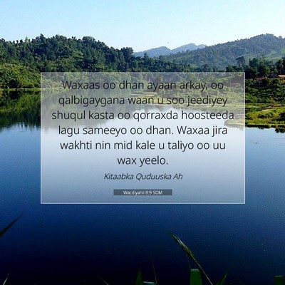 Picture 07 - Wacdiyahii 8:9 SOM - Waxaas oo dhan ayaan arkay, oo qalbigaygana waan - Bible Verse Picture
