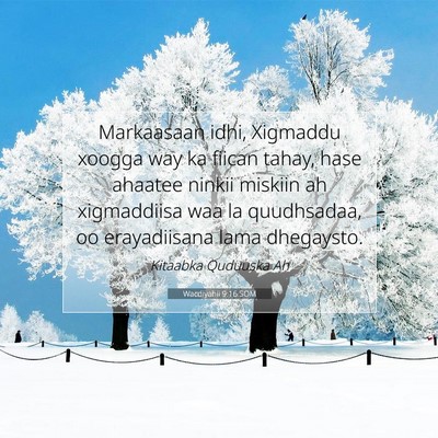 Picture 07 - Wacdiyahii 9:16 SOM - Markaasaan idhi, Xigmaddu xoogga way ka fiican - Bible Verse Picture