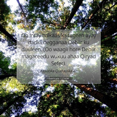 Picture 07 - Xaakinnada 1:11 SOM - Oo intay halkaas ka tageen ayay dadkii degganaa - Bible Verse Picture
