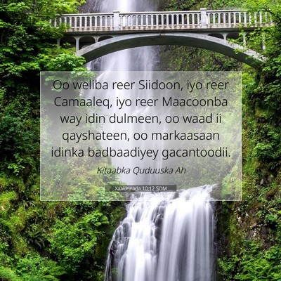 Picture 07 - Xaakinnada 10:12 SOM - Oo weliba reer Siidoon, iyo reer Camaaleq, iyo - Bible Verse Picture