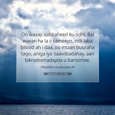 Picture 07 - Xaakinnada 11:37 SOM - Oo waxay aabbaheed ku tidhi, Bal waxan ha la ii - Bible Verse Picture