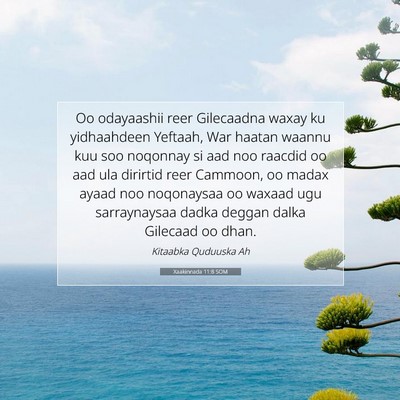 Picture 07 - Xaakinnada 11:8 SOM - Oo odayaashii reer Gilecaadna waxay ku - Bible Verse Picture