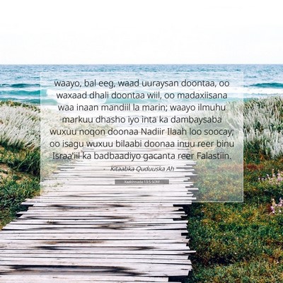 Picture 07 - Xaakinnada 13:5 SOM - waayo, bal eeg, waad uuraysan doontaa, oo waxaad - Bible Verse Picture