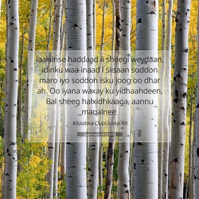 Picture 07 - Xaakinnada 14:13 SOM - laakiinse haddaad ii sheegi weydaan, idinku waa - Bible Verse Picture