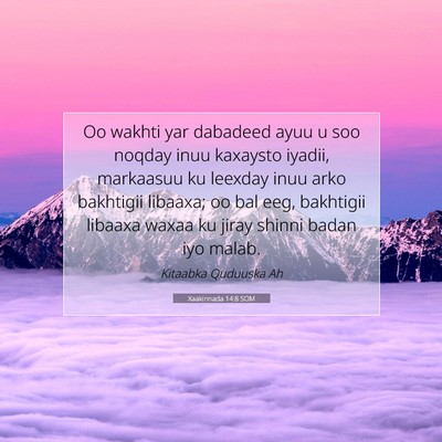 Picture 07 - Xaakinnada 14:8 SOM - Oo wakhti yar dabadeed ayuu u soo noqday inuu - Bible Verse Picture