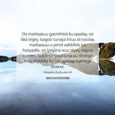 Picture 07 - Xaakinnada 14:9 SOM - Oo markaasuu gacmihiisii ku qaaday, oo iska - Bible Verse Picture