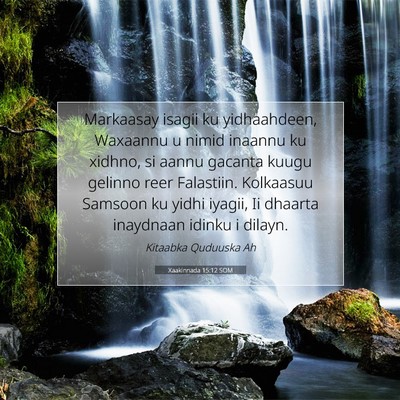 Picture 07 - Xaakinnada 15:12 SOM - Markaasay isagii ku yidhaahdeen, Waxaannu u nimid - Bible Verse Picture