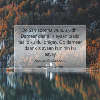 Picture 07 - Xaakinnada 15:16 SOM - Oo Samsoonna wuxuu yidhi, Dameer daankiis ayaan - Bible Verse Picture