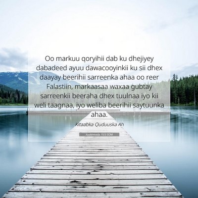 Picture 07 - Xaakinnada 15:5 SOM - Oo markuu qoryihii dab ku dhejiyey dabadeed ayuu - Bible Verse Picture