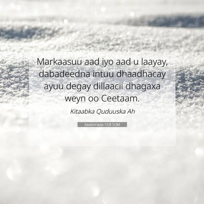 Picture 07 - Xaakinnada 15:8 SOM - Markaasuu aad iyo aad u laayay, dabadeedna intuu - Bible Verse Picture
