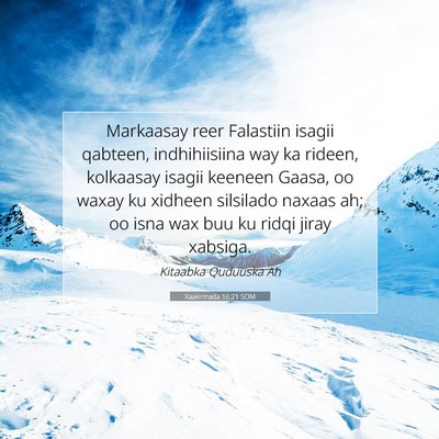 Picture 07 - Xaakinnada 16:21 SOM - Markaasay reer Falastiin isagii qabteen, - Bible Verse Picture