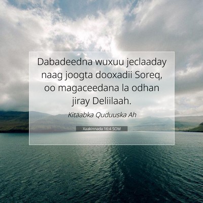 Picture 07 - Xaakinnada 16:4 SOM - Dabadeedna wuxuu jeclaaday naag joogta dooxadii - Bible Verse Picture