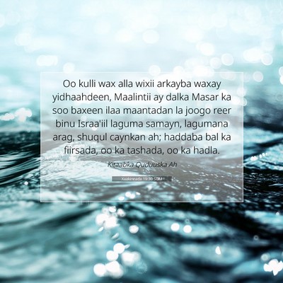 Picture 07 - Xaakinnada 19:30 SOM - Oo kulli wax alla wixii arkayba waxay - Bible Verse Picture