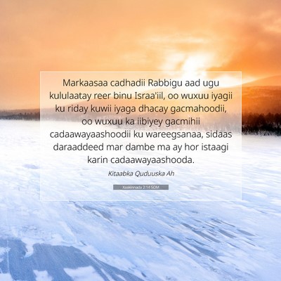 Picture 07 - Xaakinnada 2:14 SOM - Markaasaa cadhadii Rabbigu aad ugu kululaatay - Bible Verse Picture