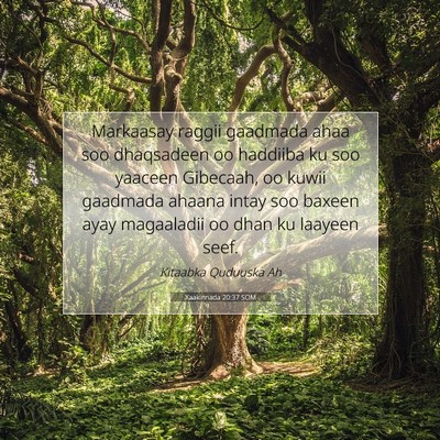 Picture 07 - Xaakinnada 20:37 SOM - Markaasay raggii gaadmada ahaa soo dhaqsadeen oo - Bible Verse Picture