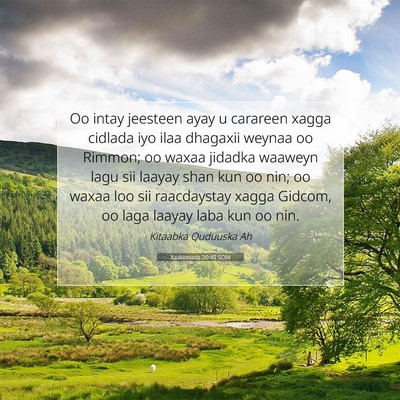 Picture 07 - Xaakinnada 20:45 SOM - Oo intay jeesteen ayay u carareen xagga cidlada - Bible Verse Picture