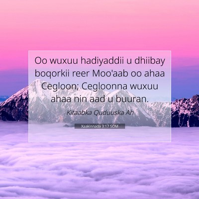 Picture 07 - Xaakinnada 3:17 SOM - Oo wuxuu hadiyaddii u dhiibay boqorkii reer - Bible Verse Picture