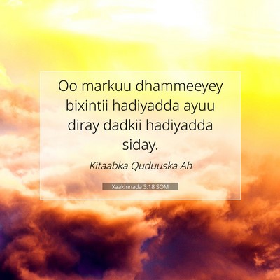 Picture 07 - Xaakinnada 3:18 SOM - Oo markuu dhammeeyey bixintii hadiyadda ayuu - Bible Verse Picture