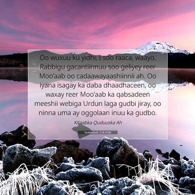 Picture 07 - Xaakinnada 3:28 SOM - Oo wuxuu ku yidhi, I soo raaca, waayo, Rabbigu - Bible Verse Picture