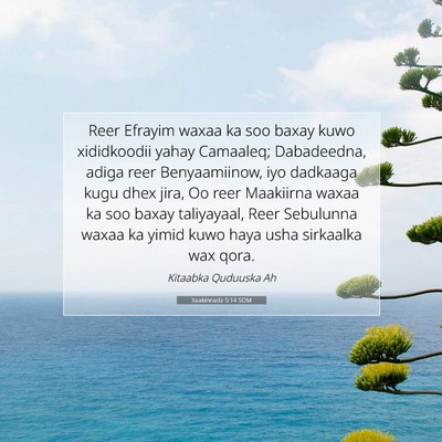 Picture 07 - Xaakinnada 5:14 SOM - Reer Efrayim waxaa ka soo baxay kuwo xididkoodii - Bible Verse Picture