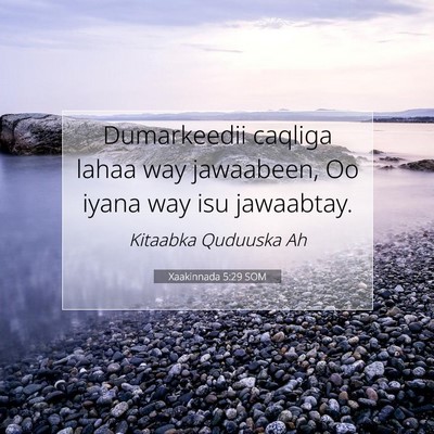 Picture 07 - Xaakinnada 5:29 SOM - Dumarkeedii caqliga lahaa way jawaabeen, Oo iyana - Bible Verse Picture