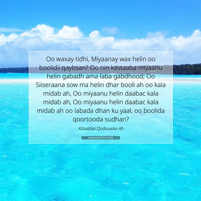 Picture 07 - Xaakinnada 5:30 SOM - Oo waxay tidhi, Miyaanay wax helin oo boolidii - Bible Verse Picture