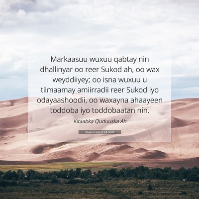 Picture 07 - Xaakinnada 8:14 SOM - Markaasuu wuxuu qabtay nin dhallinyar oo reer - Bible Verse Picture