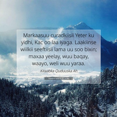 Picture 07 - Xaakinnada 8:20 SOM - Markaasuu curadkiisii Yeter ku yidhi, Kac oo laa - Bible Verse Picture
