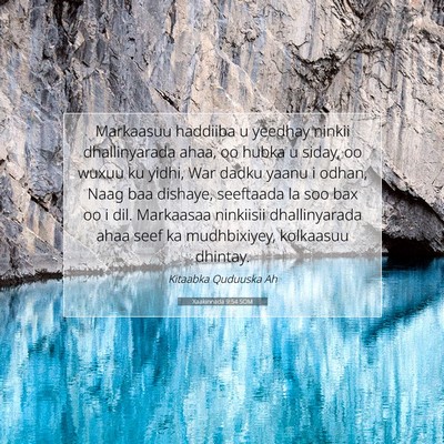 Picture 07 - Xaakinnada 9:54 SOM - Markaasuu haddiiba u yeedhay ninkii dhallinyarada - Bible Verse Picture