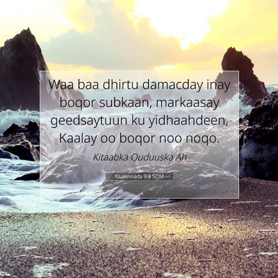 Picture 07 - Xaakinnada 9:8 SOM - Waa baa dhirtu damacday inay boqor subkaan, - Bible Verse Picture