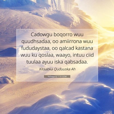Picture 07 - Xabaquuq 1:10 SOM - Cadowgu boqorro wuu quudhsadaa, oo amiirrona wuu - Bible Verse Picture