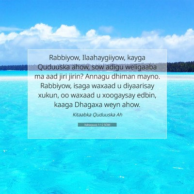 Picture 07 - Xabaquuq 1:12 SOM - Rabbiyow, Ilaahaygiiyow, kayga Quduuska ahow, sow - Bible Verse Picture