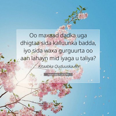 Picture 07 - Xabaquuq 1:14 SOM - Oo maxaad dadka uga dhigtaa sida kalluunka badda, - Bible Verse Picture