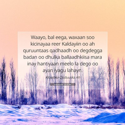 Picture 07 - Xabaquuq 1:6 SOM - Waayo, bal eega, waxaan soo kicinayaa reer - Bible Verse Picture