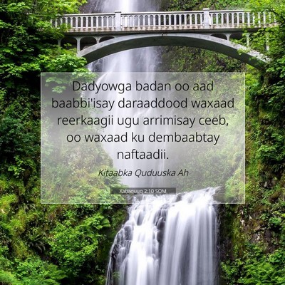 Picture 07 - Xabaquuq 2:10 SOM - Dadyowga badan oo aad baabbi'isay daraaddood - Bible Verse Picture