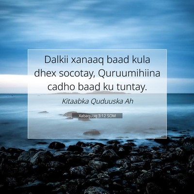 Picture 07 - Xabaquuq 3:12 SOM - Dalkii xanaaq baad kula dhex socotay, - Bible Verse Picture