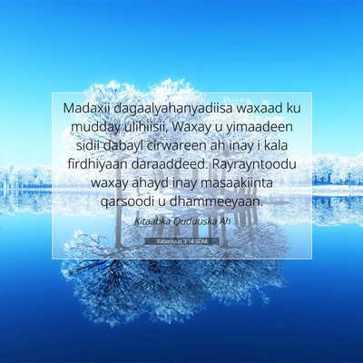 Picture 07 - Xabaquuq 3:14 SOM - Madaxii dagaalyahanyadiisa waxaad ku mudday - Bible Verse Picture