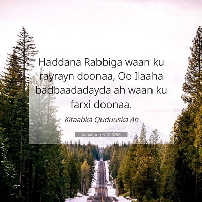 Picture 07 - Xabaquuq 3:18 SOM - Haddana Rabbiga waan ku rayrayn doonaa, Oo Ilaaha - Bible Verse Picture