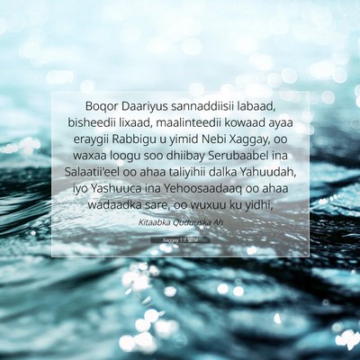 Picture 07 - Xaggay 1:1 SOM - Boqor Daariyus sannaddiisii labaad, bisheedii - Bible Verse Picture