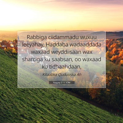 Picture 07 - Xaggay 2:11 SOM - Rabbiga ciidammadu wuxuu leeyahay, Haddaba - Bible Verse Picture